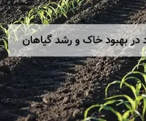 نقش گوگرد در بهبود خاک